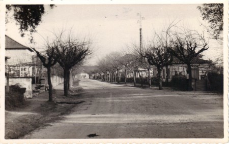 Avenida Silva Pereira, em 1960